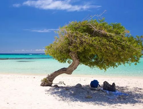 Aruba Vacation Package